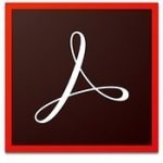 Adobe Acrobat Pro DC 2019.010.20099