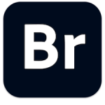 Adobe Bridge 2021 v11.1.1