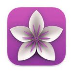Vellum 3.8.2