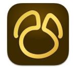 Navicat Premium 17.3.1